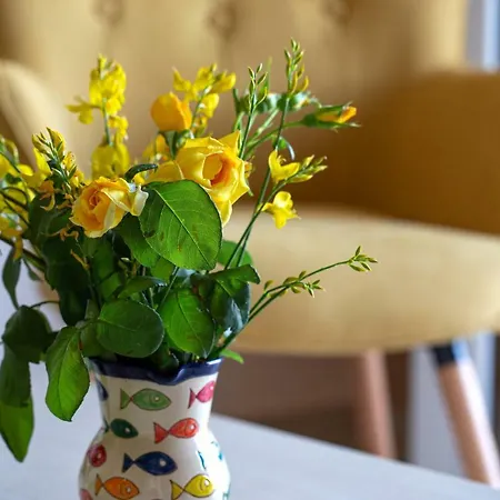 Daire Antigone Argostolion